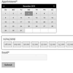 Booking Form Template from wptimeslot.dwbooster.com